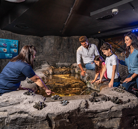 Dubai Aquarium & Underwater Zoo - Regular Pass, , medium